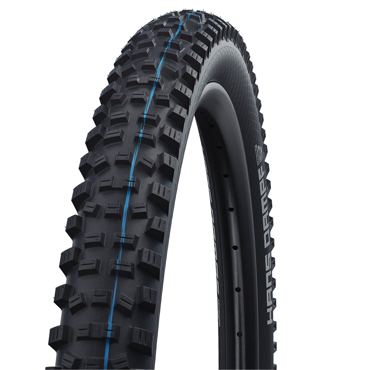 COPERTURA SCHWALBE HANS DAMPF EVO STSG 29 x 2.35 HS491 NERA