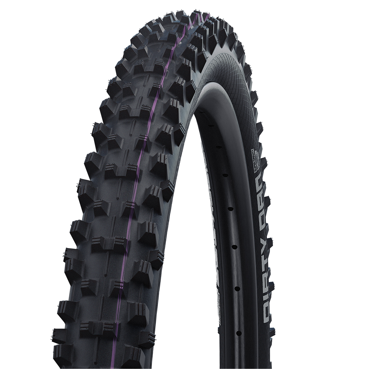 COPERTURA SCHWALBE DIRTY DAN EVO 29 x 2.35 HS417 NERA